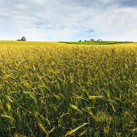 Ladybug House With Whirlpool - Happy *