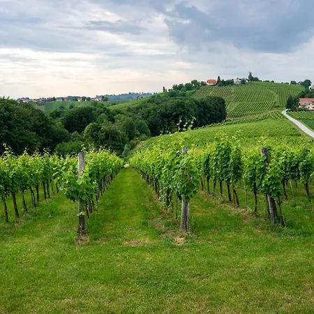 Ladybug House With Whirlpool - Happy Brvnara *