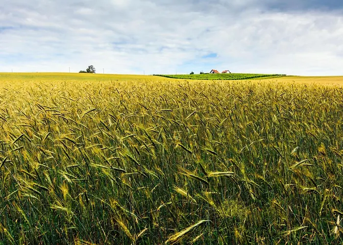 Ladybug House With Whirlpool - Happy *