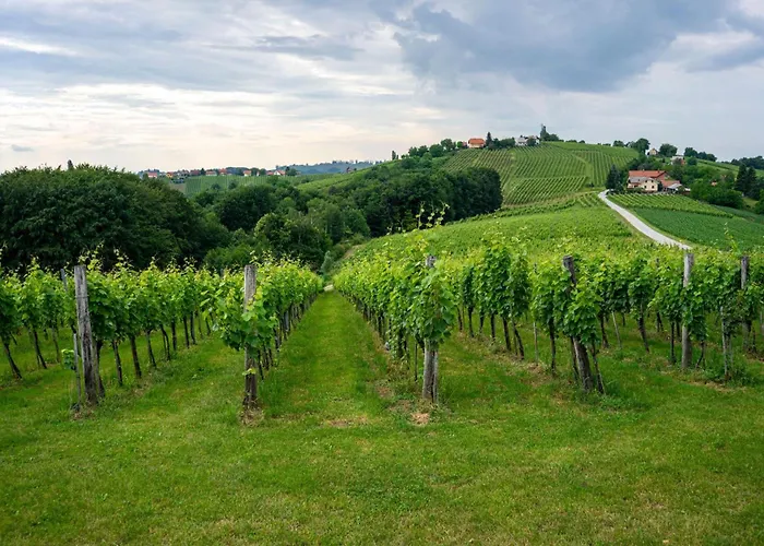 Ladybug House With Whirlpool - Happy Σαλέ *